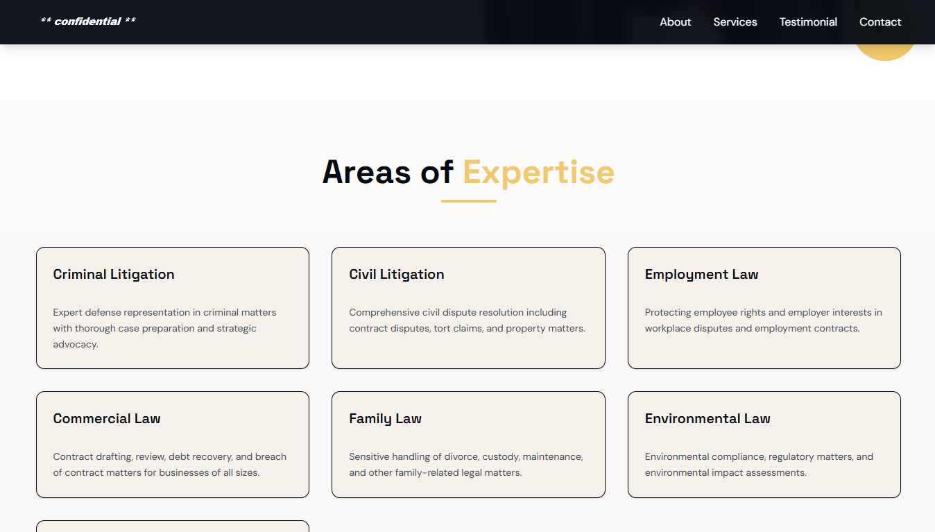 A Professional's Portfolio - Before